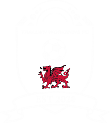 Trallwn Workmens FC badge